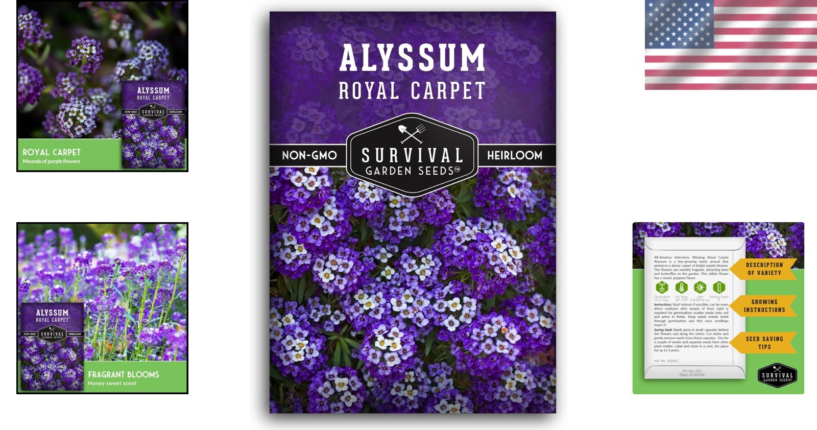 Self-Seeding Purple Alyssum Seeds – Heirloom Non-GMO with Extended Bloom Time