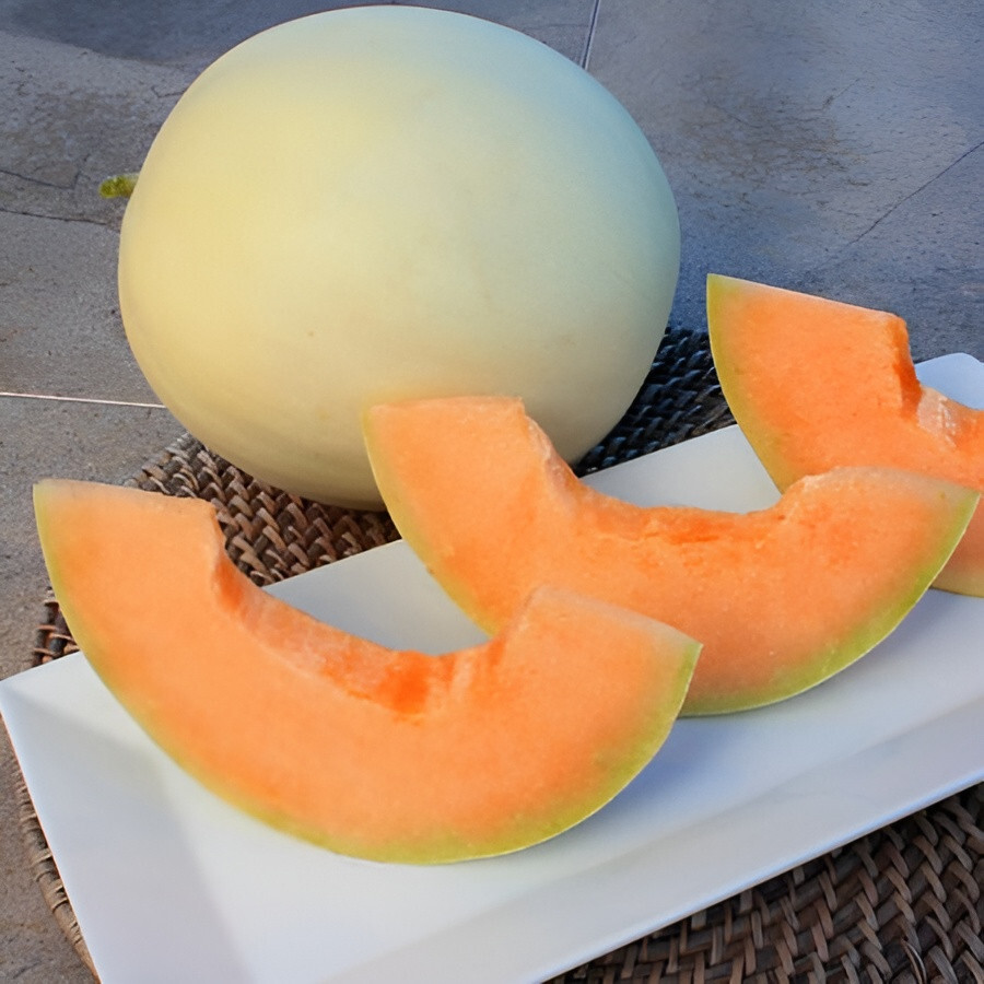 300 Honeydew Seed Variety Combo Pack 4 Unique Sweet Heirloom Honeydew Varieties