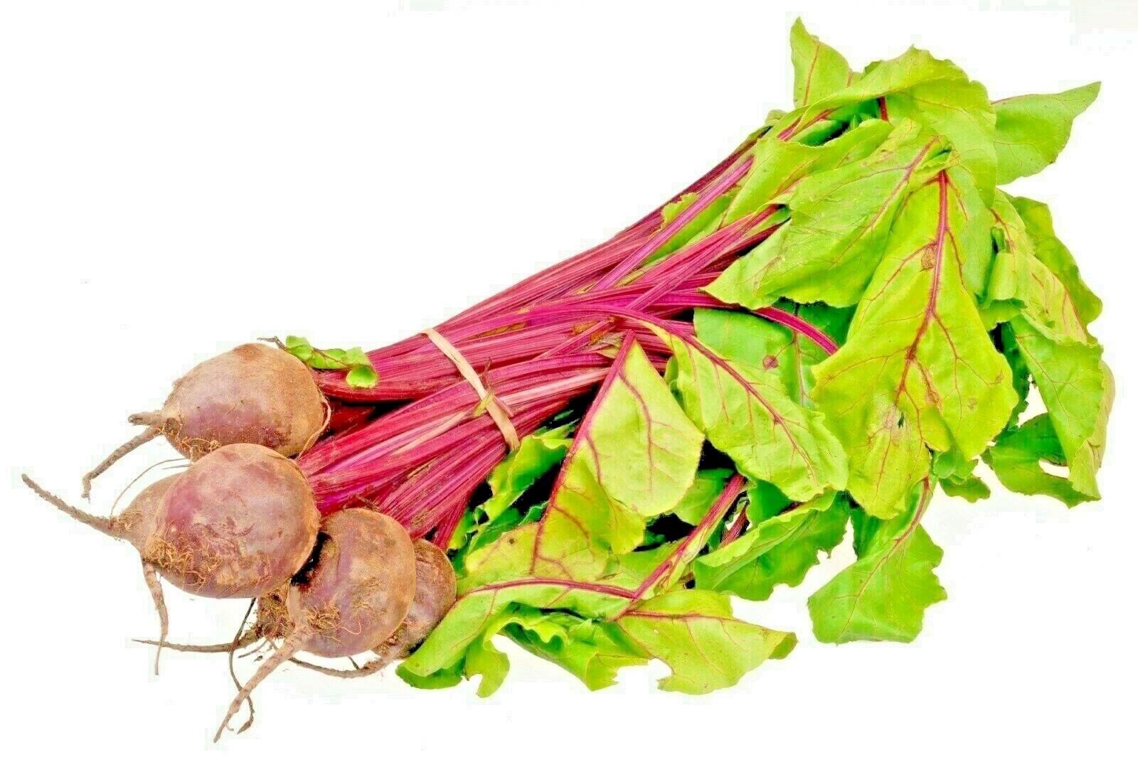 200+ DETROIT BEET SEEDS SPRING GARDEN BEETROOT NON-GMO VEGETABLE HEIRLOOM USA