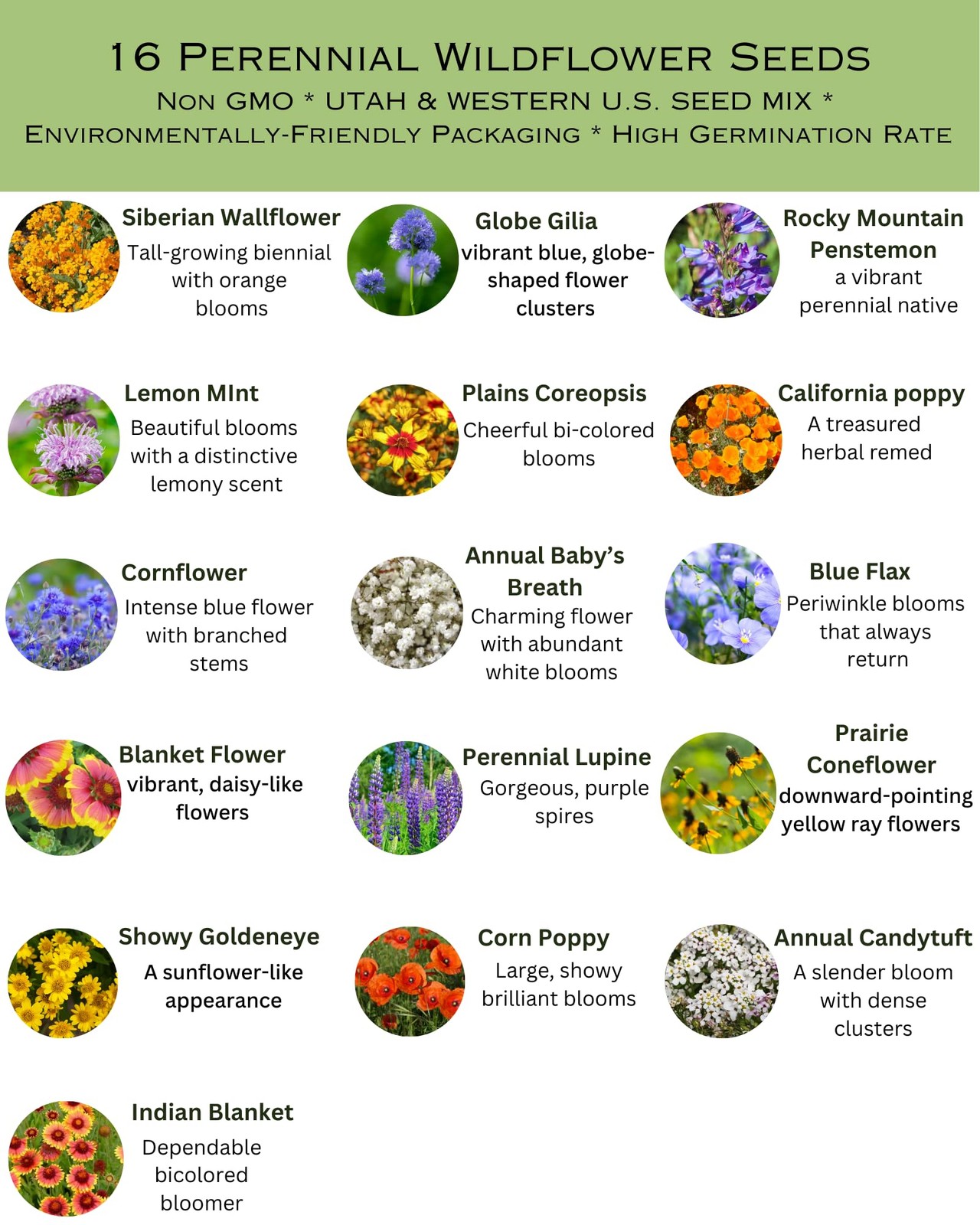 Utah Wildflower Mix, 1 lb Covers 3,200 sq ft, Multi-Color Blooms, Spring and …