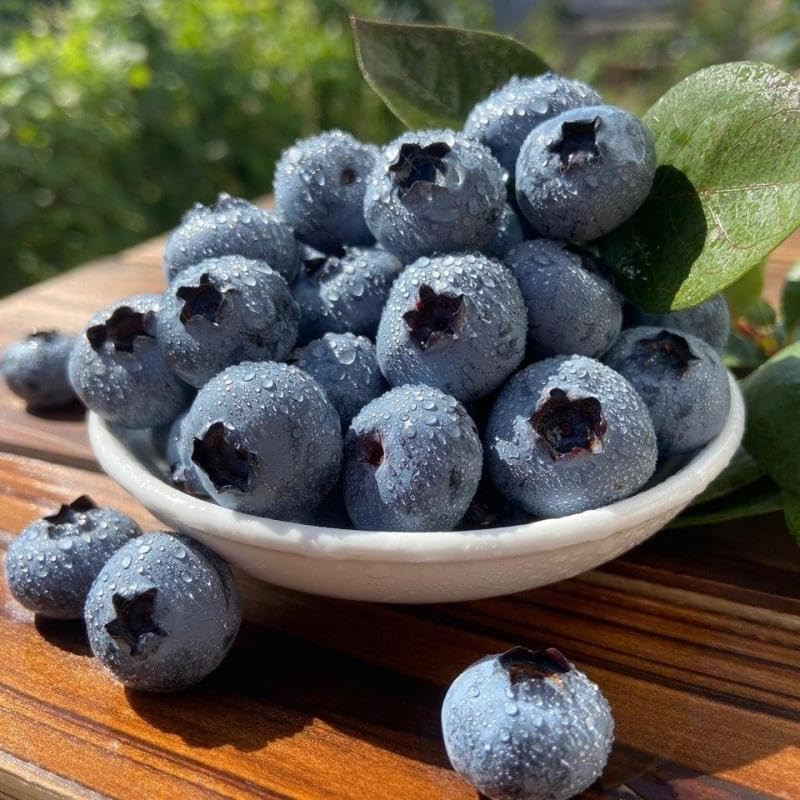 1000+Pcs Mixed Berry Seeds Kit for Planting (Grapes, Strawberries, Blueberries,