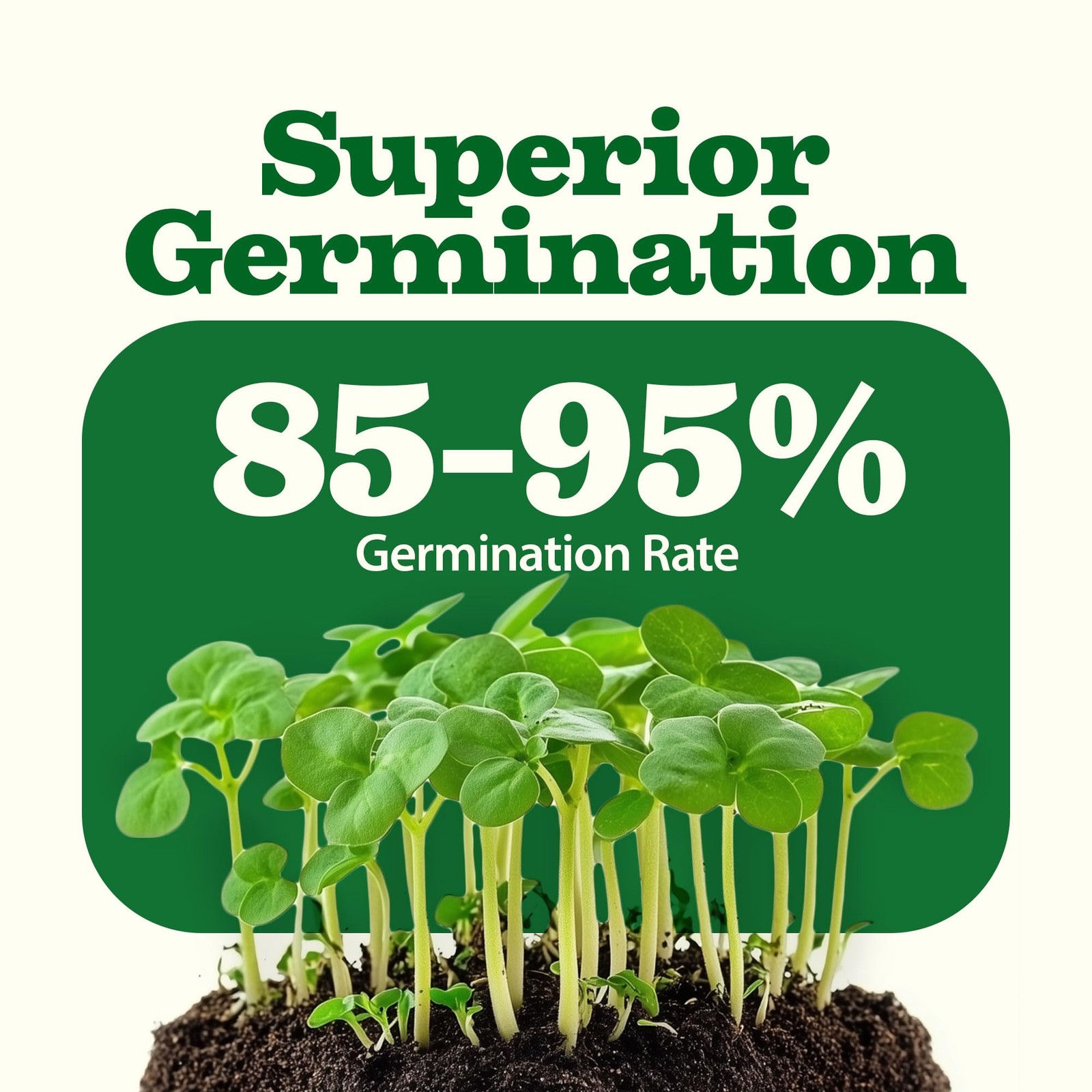 32 Heirloom Vegetable and Fruit Seeds for Planting – 16,000+ Seeds | Non-GMO …