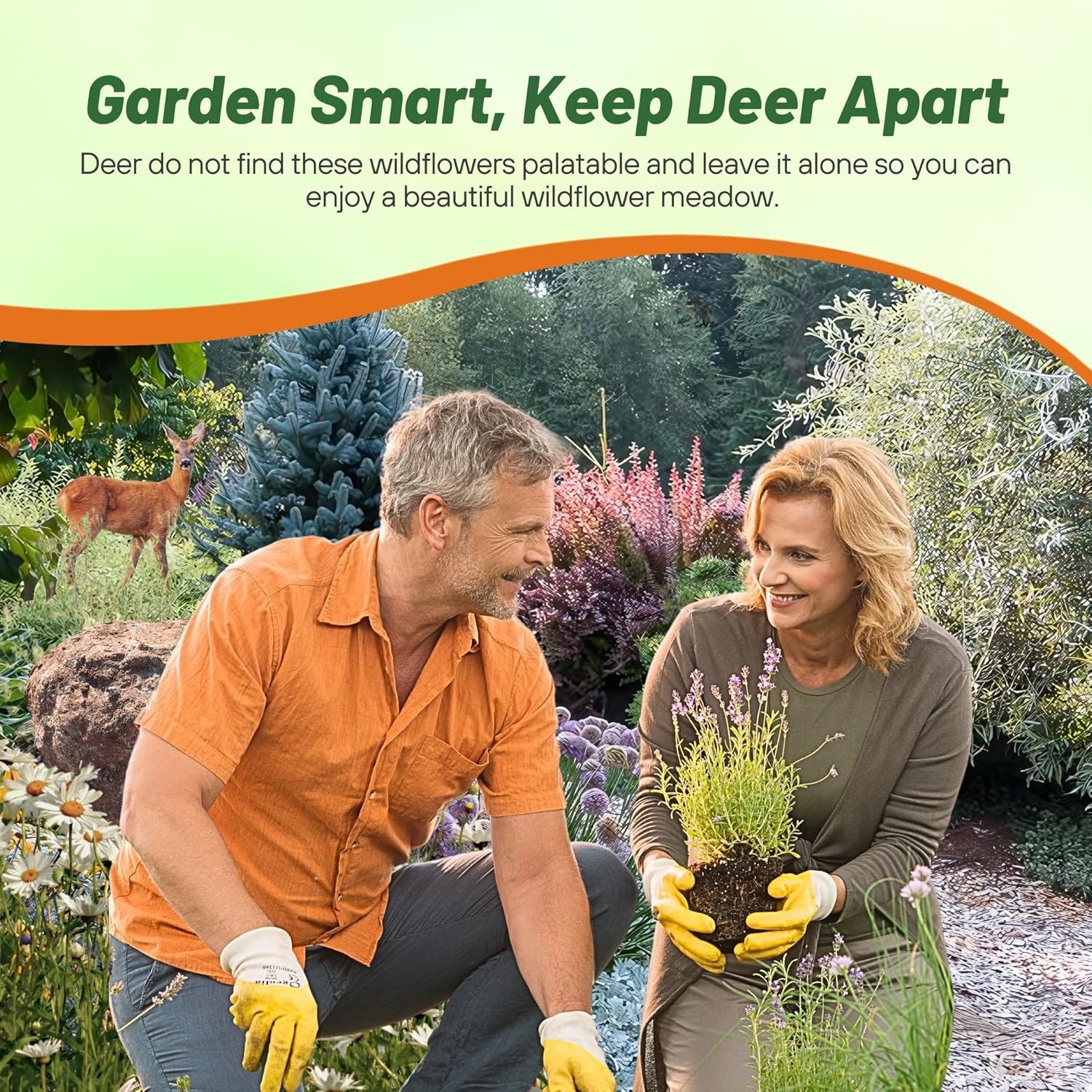 5 LBS Deer Resistant Wild Flower Seed Mix – available in bulk