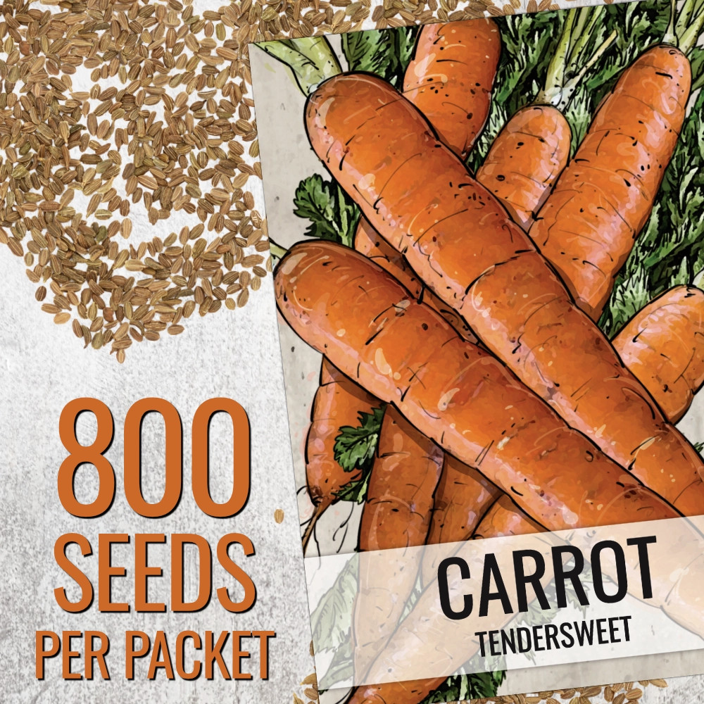 Tendersweet Carrot Seeds For Planting (Daucus carota)