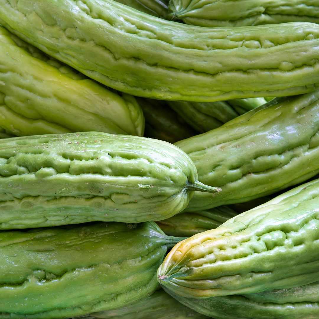 Fresh Bitter Melon Seeds | Tai Guo | Heirloom Non-GMO | Asian Vegetables