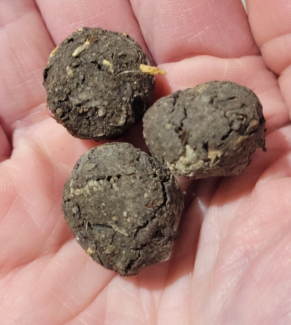 Midwest Wildflower Seed Balls Bombs Annual/perennial Premium Organic Seed Mix