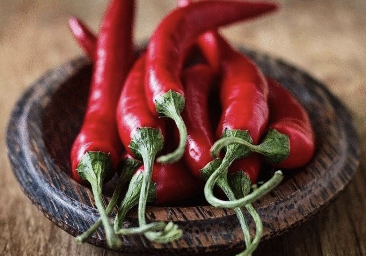 100 Plus HOT LONG RED CAYENNE PEPPER- Capsicum Annuum Seeds-Non GMO