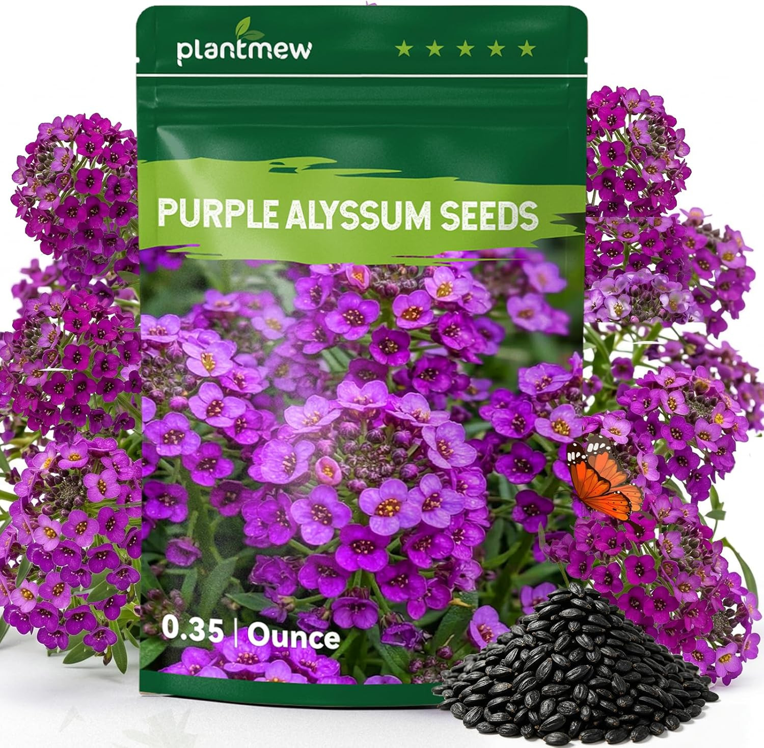Alyssum Seeds for Planting – Purple Royal Carpet, Sweet Purple Alyssum Flower Se