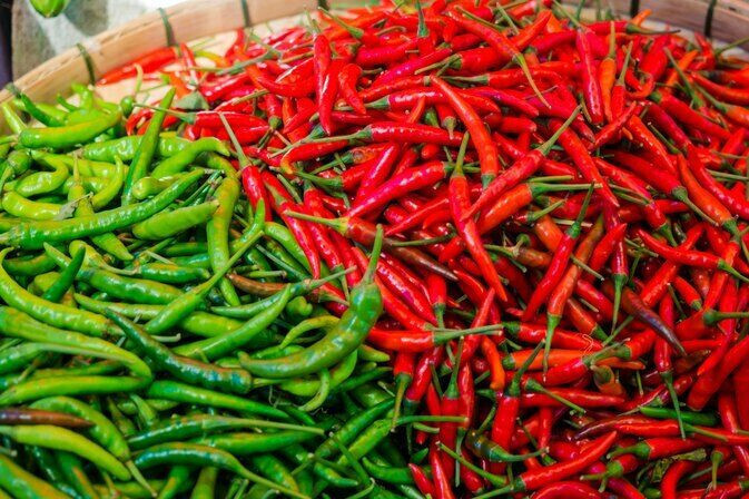 SCARBOROUGH SEEDS Cayenne Long Slim Pepper Seeds – 100 Seeds – SAME DAY SHIPPING
