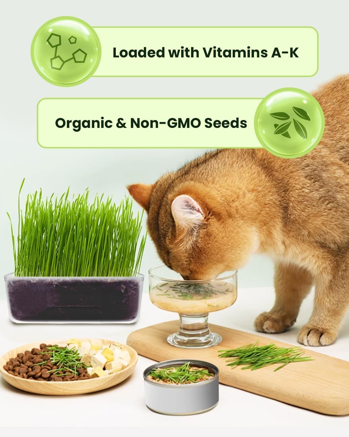 Cat Grass Kit for Indoor Cats 3 Pack, Organic Wheat Grass Seeds Grows in 7 Days