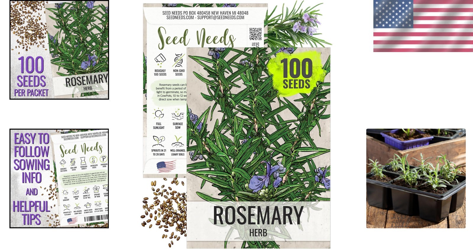 Heirloom Rosemary Seeds – Non-GMO with Medicinal & Culinary Benefits, 100 Seeds