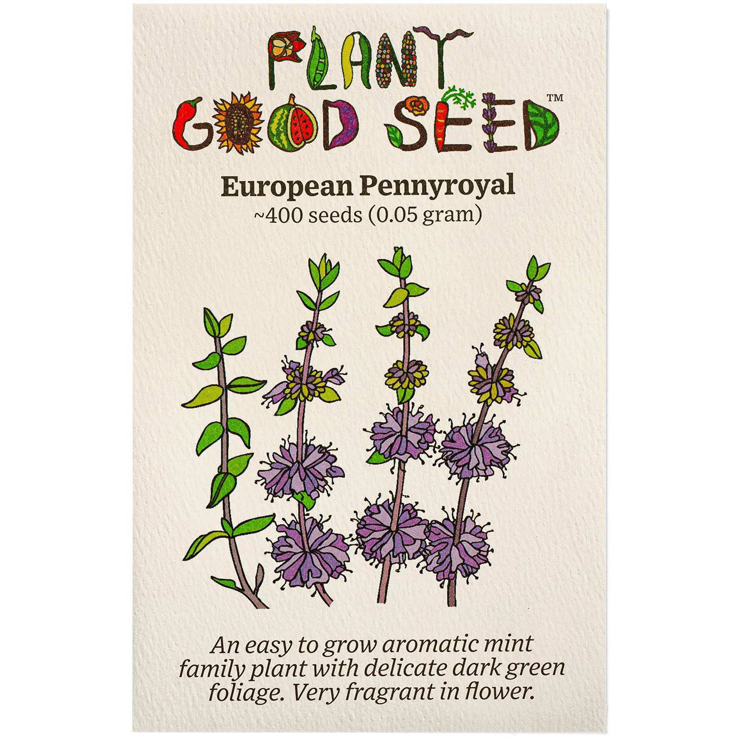 European Pennyroyal Seeds
