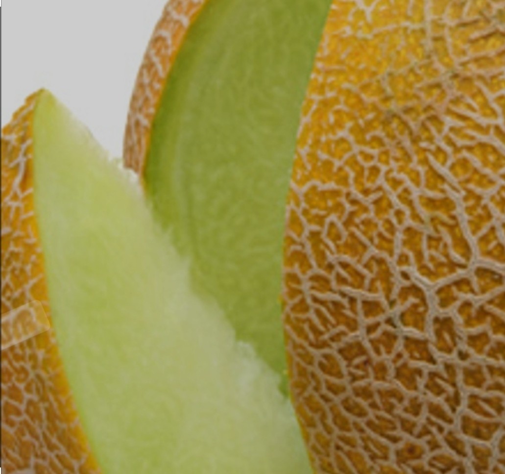 Lemon Drop Honeydew Melon Seeds 10 Organic Seeds RARE *Free Shipping*