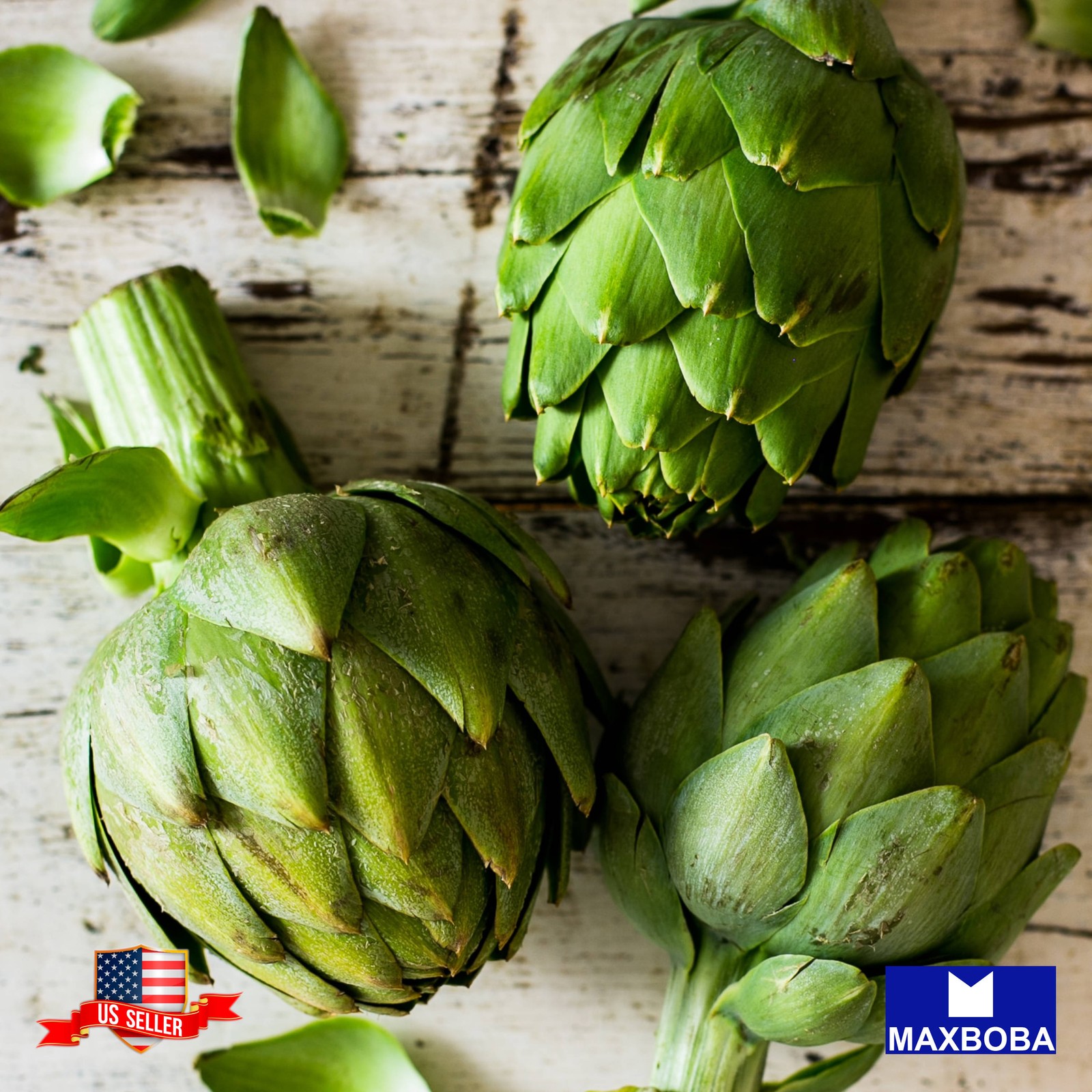 Artichoke 10 Fresh Seeds Green Globe Perennial Non-GMO Heirloom