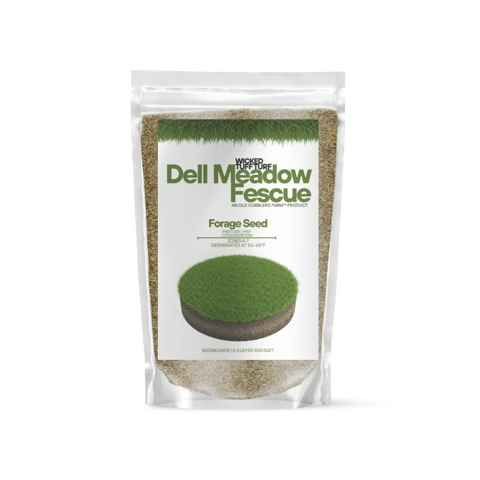 Old Cobblers Farm™ Wicked Tuff Turf Dell Meadow Fescue Grass Seed – Lush Turf