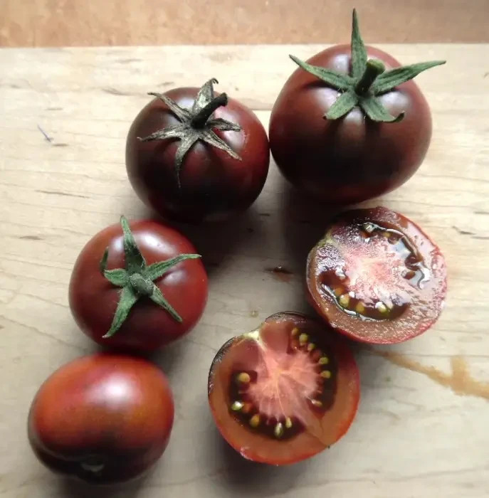 10 seeds Dwarf Velvet Night Tomato Purple cherry ORGANIC Rare Variety DTP