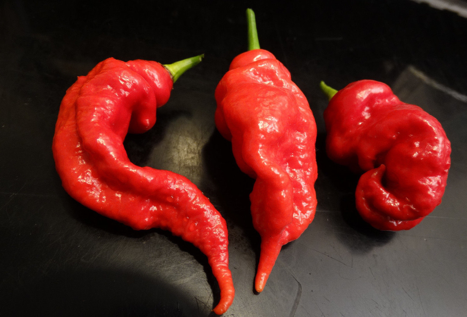 OVER 30+ JAYS RED GHOST PEPPER SEEDS SUPER HOT! GROW INSTRUCTIONS INCLUDED 2022