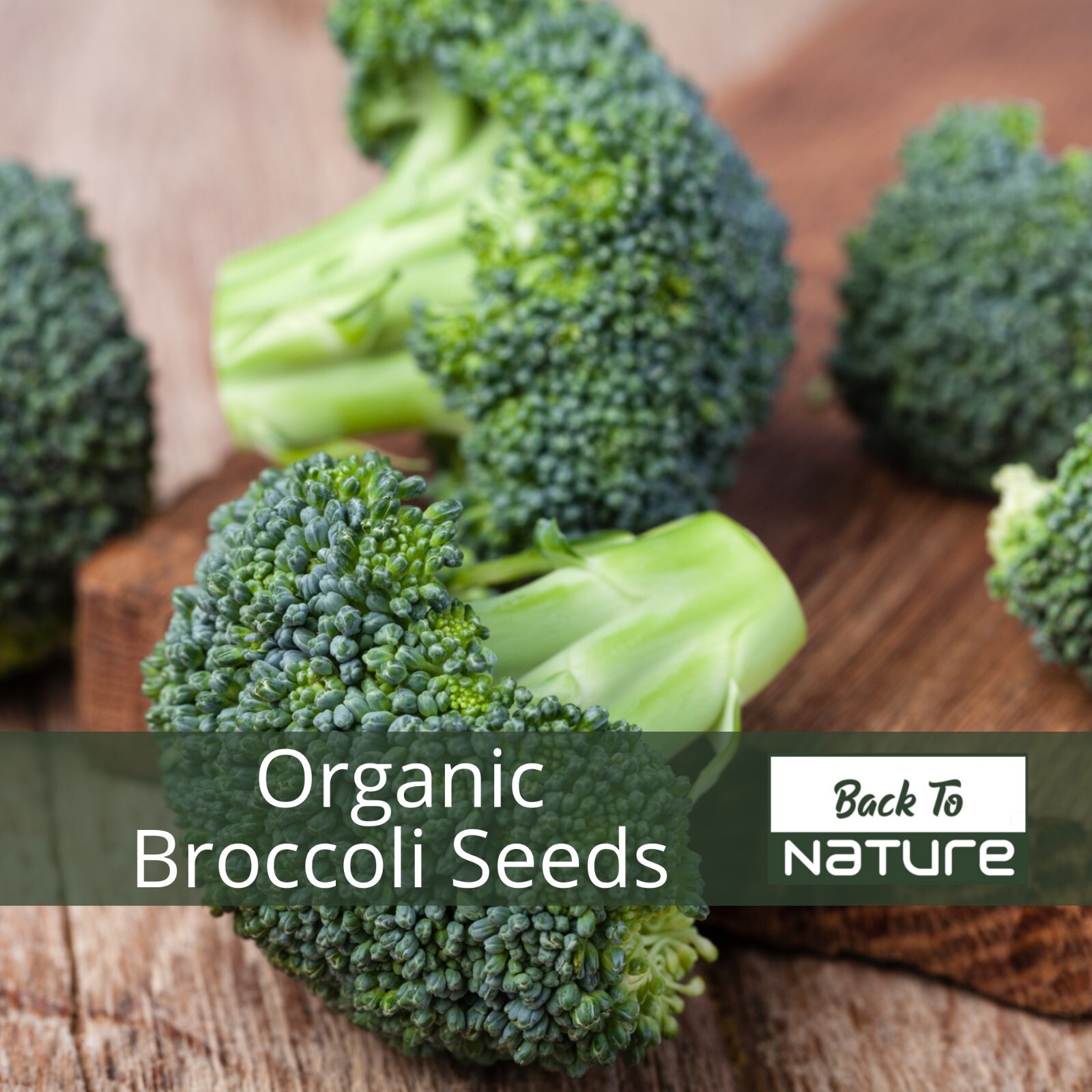 Broccoli – Seeds – Organic – Non Gmo – Heirloom Seeds – Vegetable Seeds
