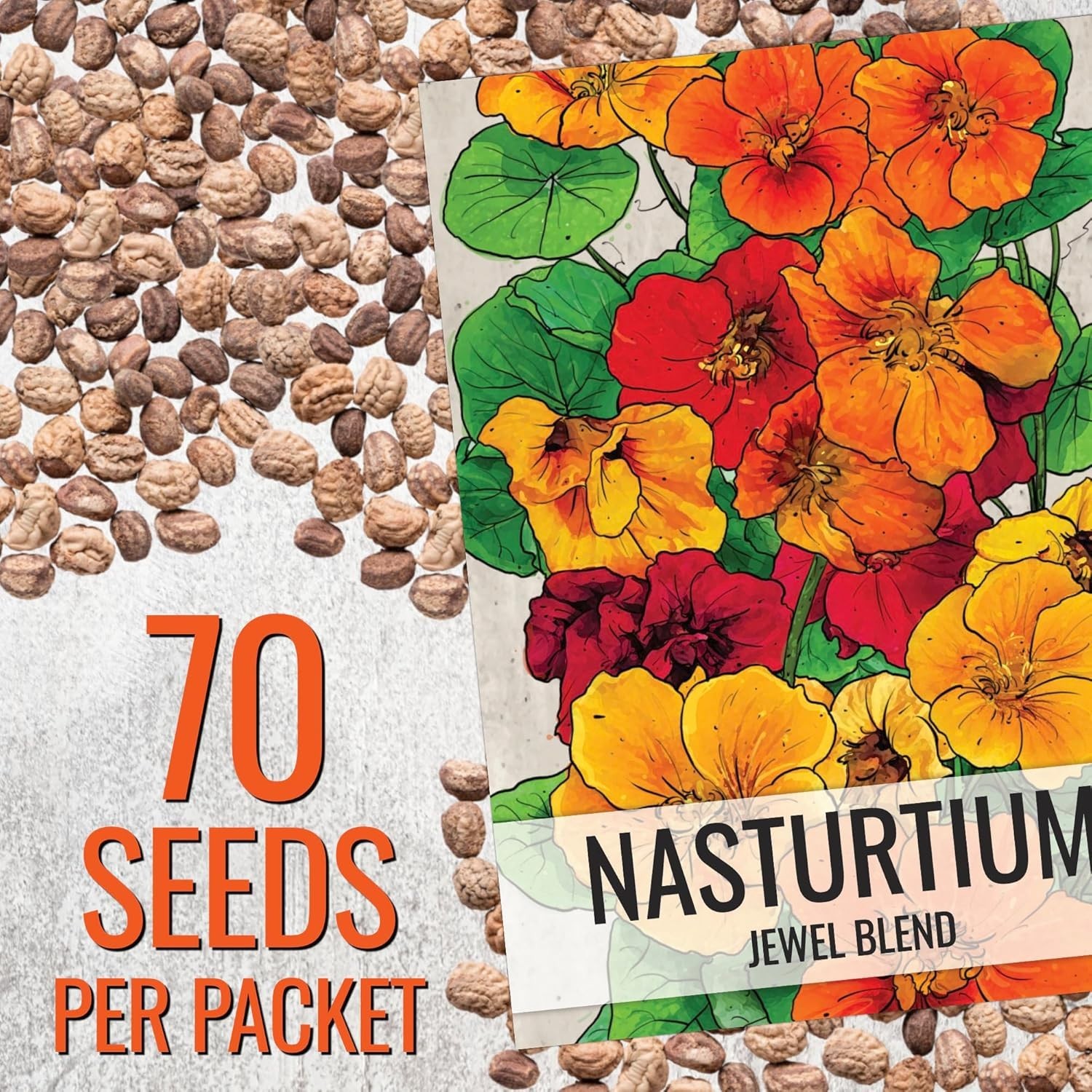 Vibrant Jewel Blend Nasturtium Seeds – Edible, Butterfly-Friendly, 70 Count Pack