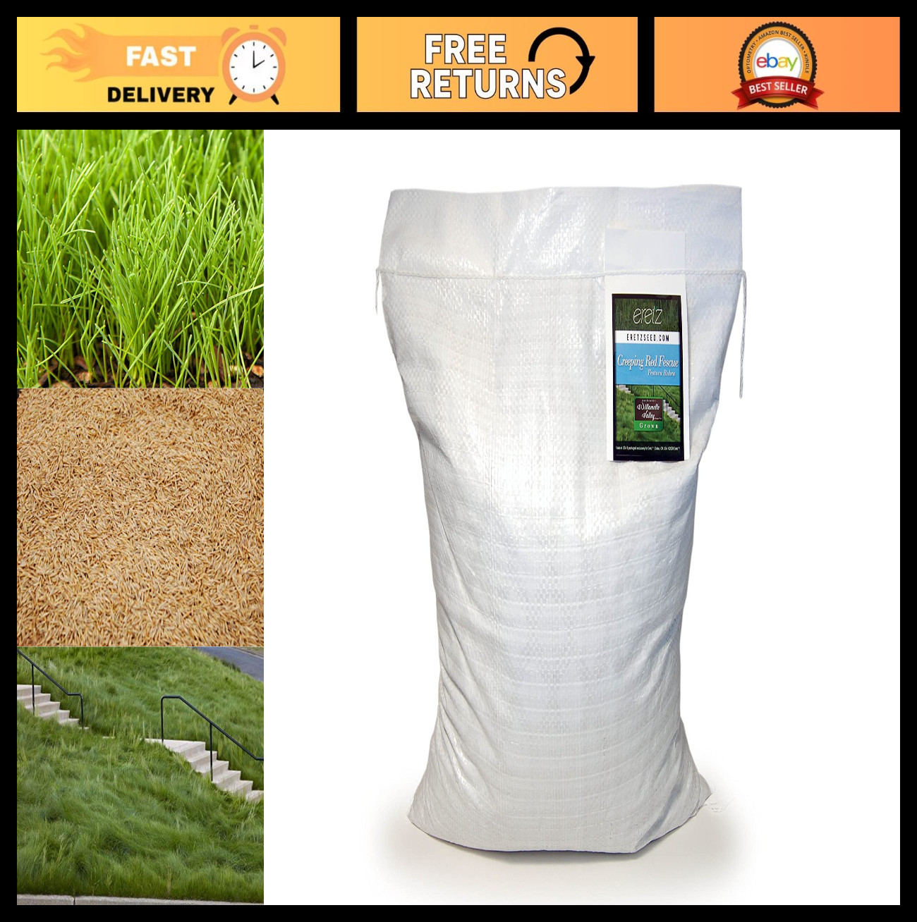 Premium Creeping Red Fine Fescue Grass Seed – 10lb, Oregon Grown, No Fillers, Sh