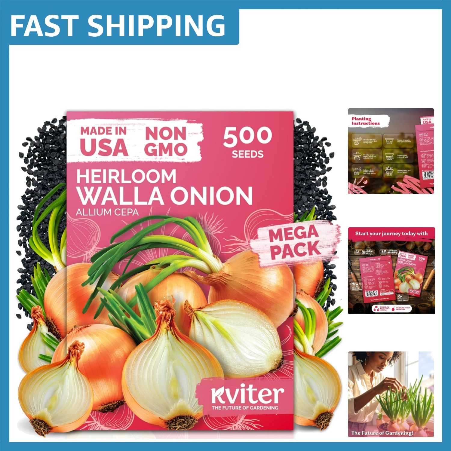 Cold-Hardy Walla Walla Onion Seeds – 500 Count Non-GMO Heirloom for Gardens