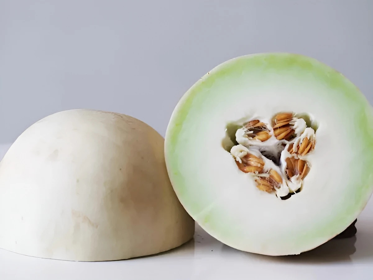 40 Premium Heirloom Tam Honeydew Melon Seeds – Large & Extra Sweet