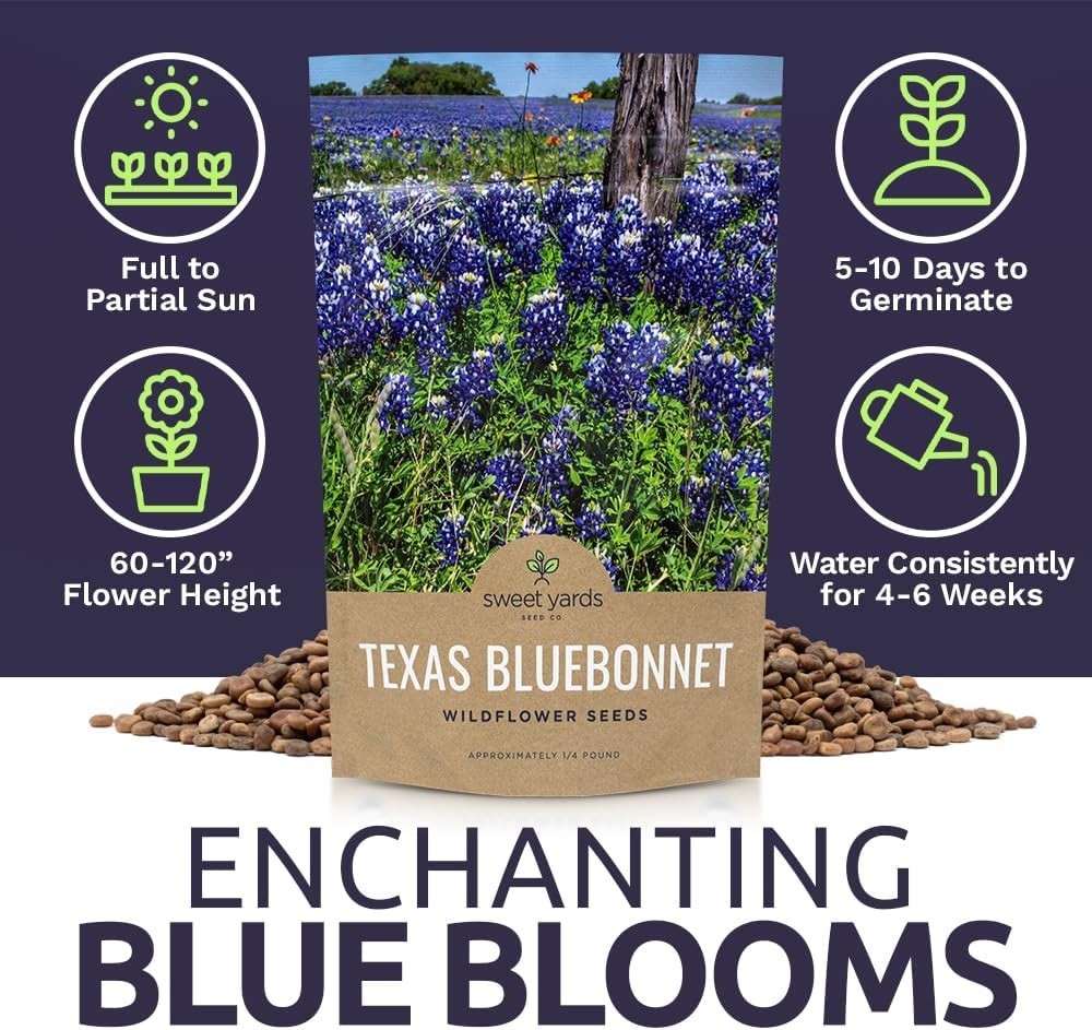 Texas Bluebonnet Seeds – Over 4,000 Native Seeds