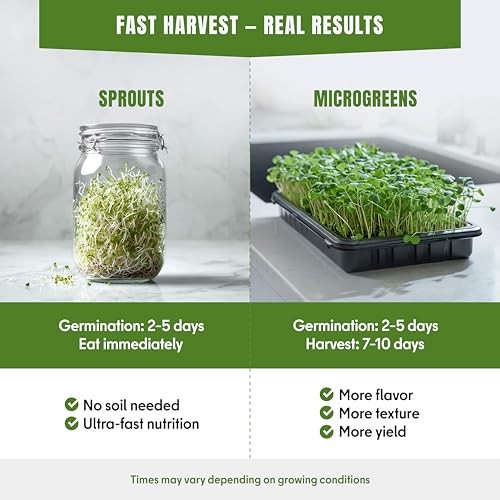 SproutMe Microgreens & Sprouting Seeds Variety 10 Microgreens & Sprouting Seeds