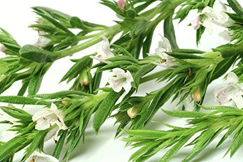 1000 Mixed Herb Seeds Heirloom Non GMO 12 Varieties This is a Mix, Thyme Oreg…