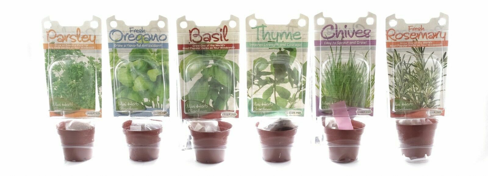 New DuneCraft Mini Herb Garden Grow A Flavorful Antioxidant 6 To Choose From