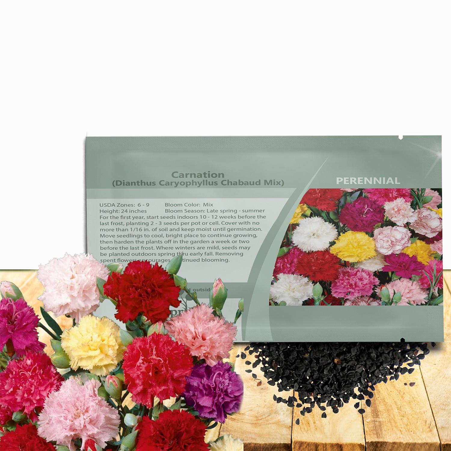 2000 Seeds Carnation Seed Mix For Planting – Dianthus Caryophyllus Chabaud