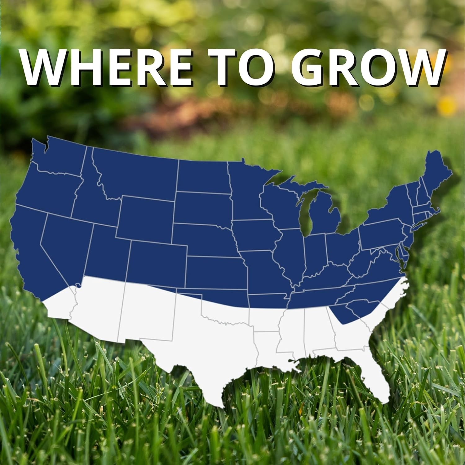 25 lb Black Beauty Grass Seed | Germinates in 7-14 Days, Dark Green Turf