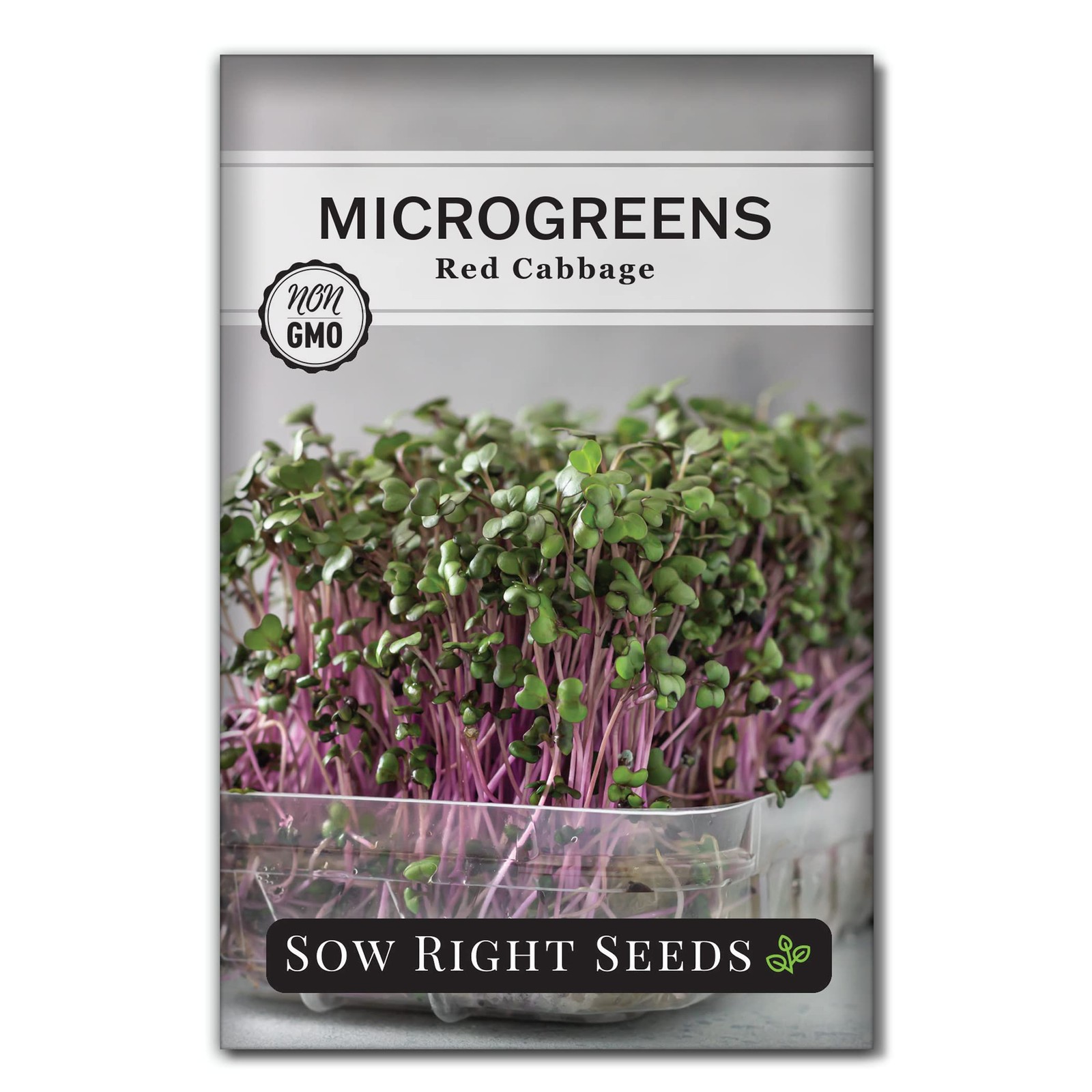 – Red Cabbage Microgreen Seed for Growing – Instructions to Grow Your Own Del…