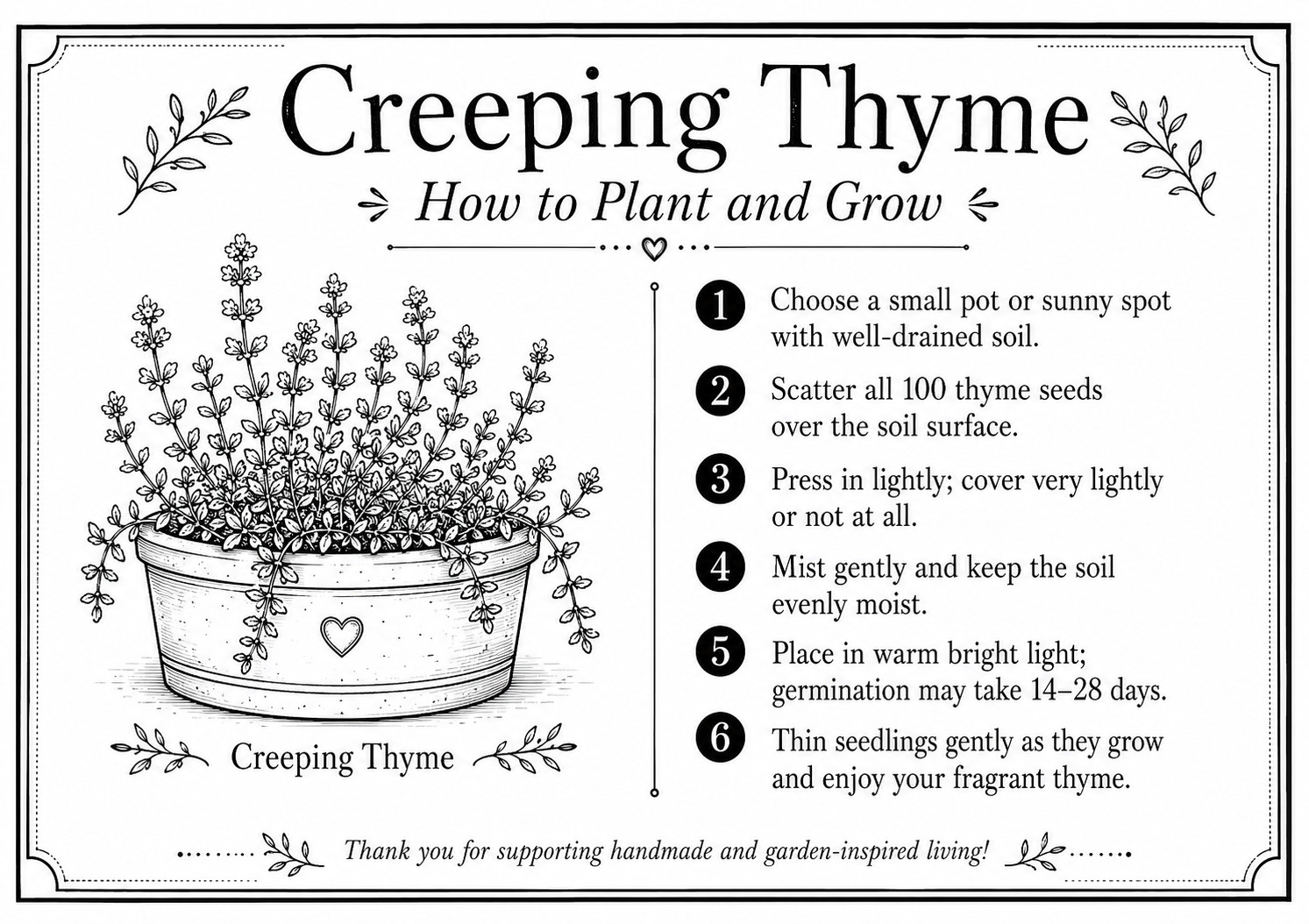 Depression: Self-help collectible gift card with Thyme seeds attached as a gift
