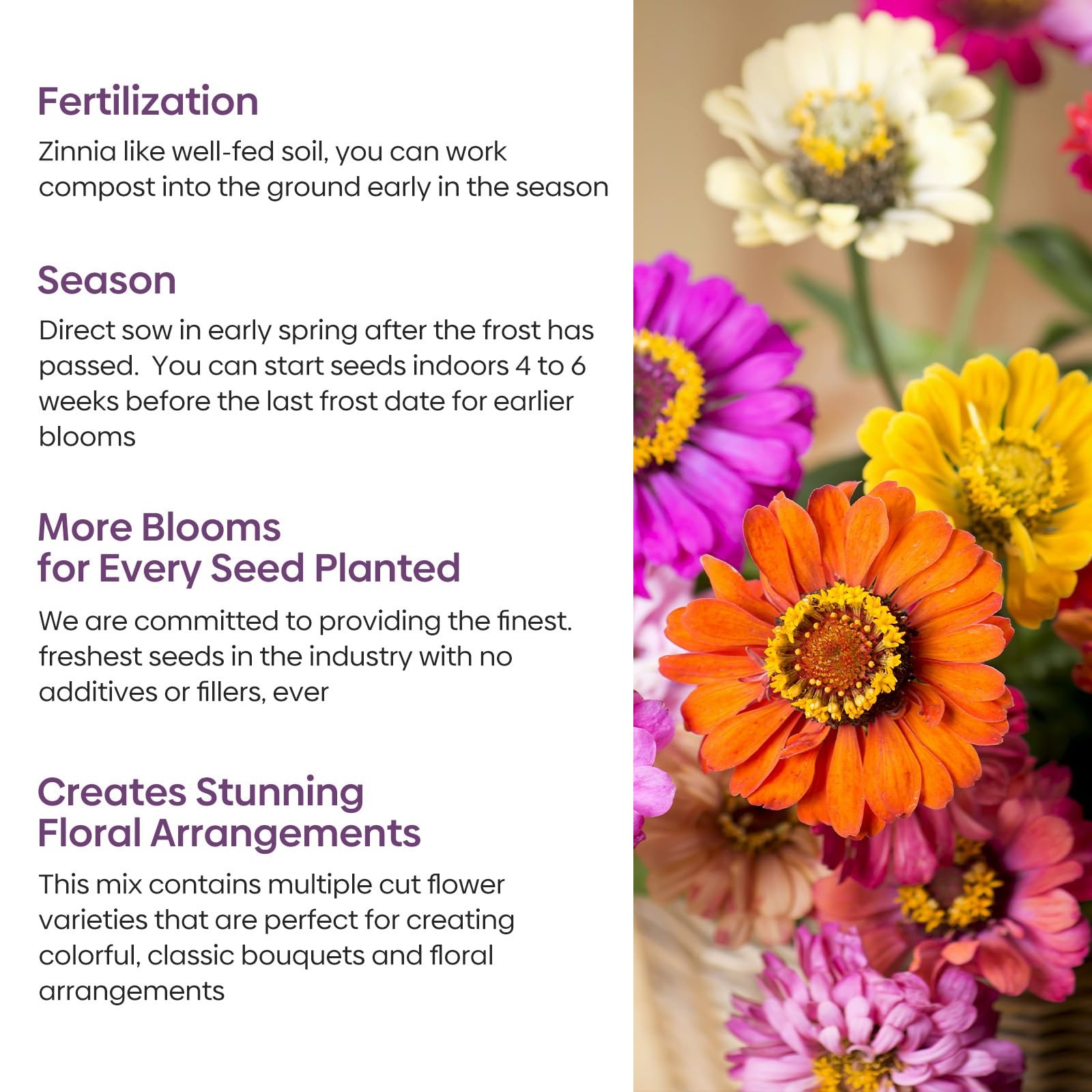 1oz Bulk Flower Seeds Over 3,000 Seeds 5 Varieties Mixed Colors Open Pollinated