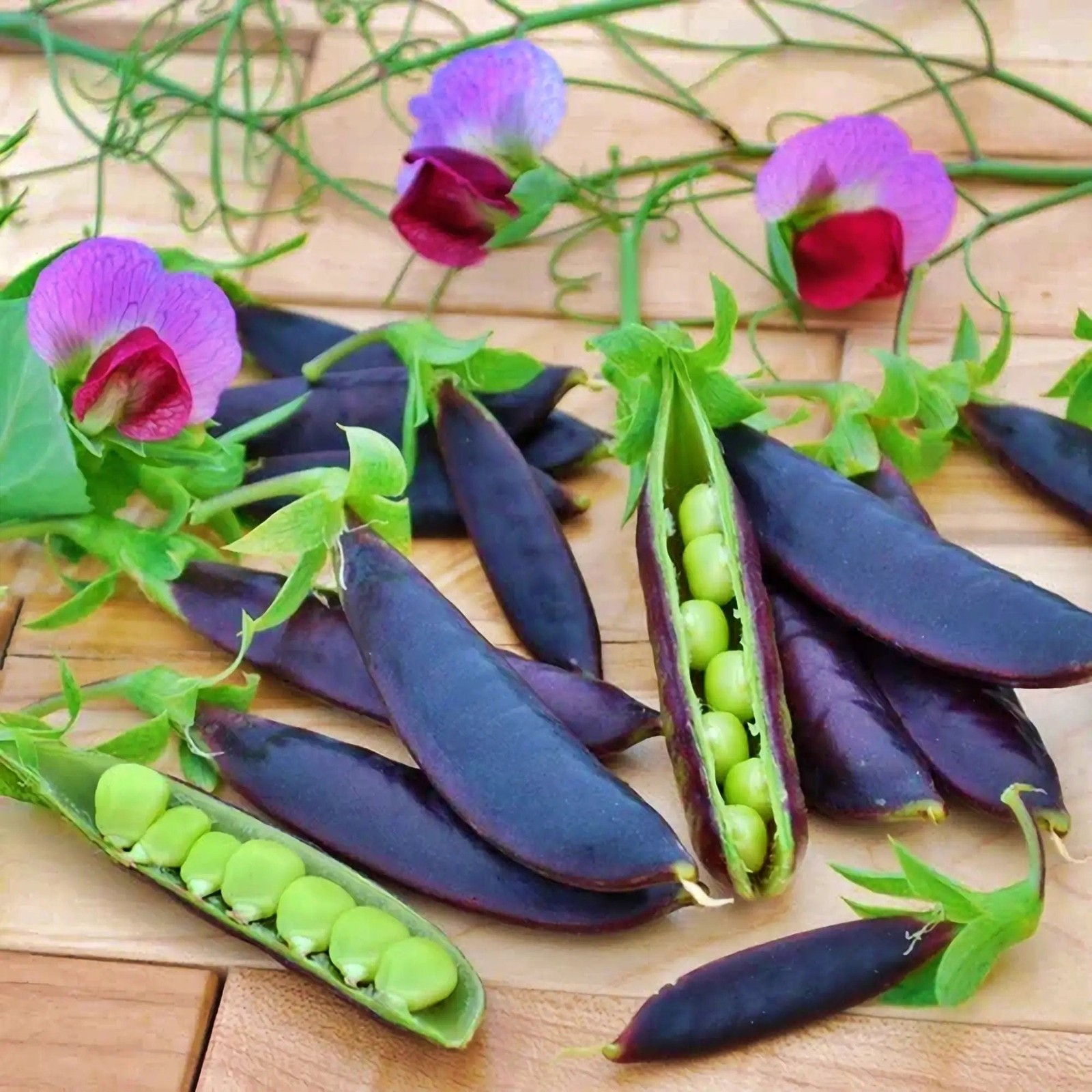 Purple Magnolia, Snap Peas