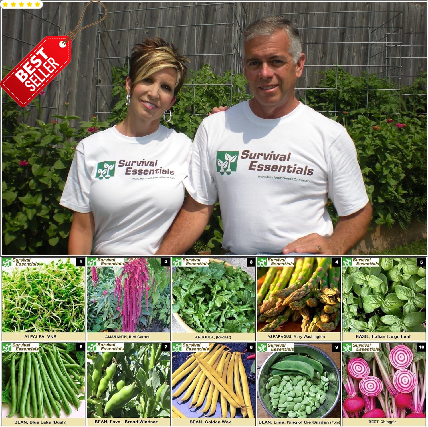 Heirloom Seeds 135 Variety Vegetable Fruit Herb Non-GMO Planting Kit US