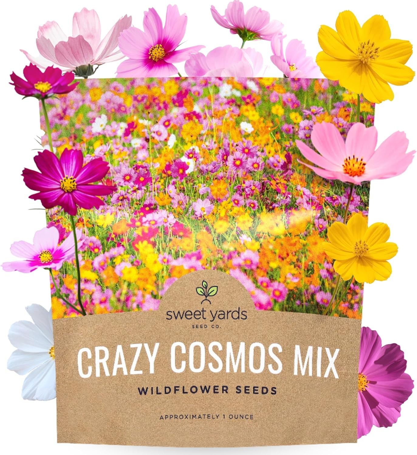 Cosmos Seeds Wildflower Blend 1oz Bulk Packet 5000+ Seeds Spring Summer Planting