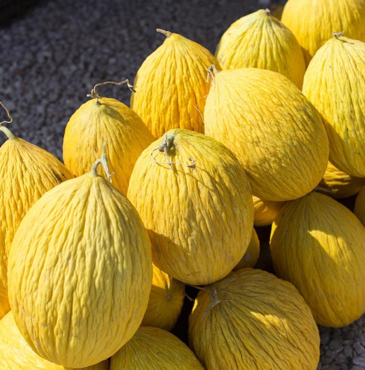 25 Sweet Fresh | NON-GMO | Crenshaw Premium Melon Seeds-B 20