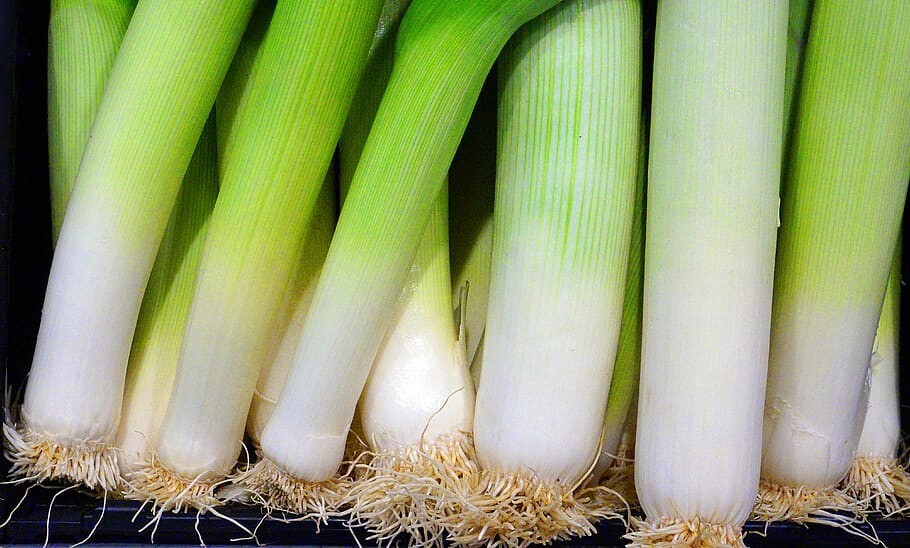 250 American Flag Leed Seeds – Heirloom Non-GMO Leek Seeds – Delicious!