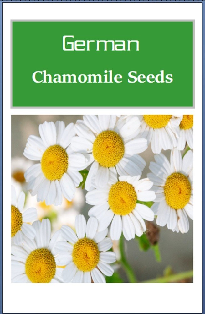 German Chamomile Seeds | NON-GMO | Heirloom | Fresh Garden Seeds