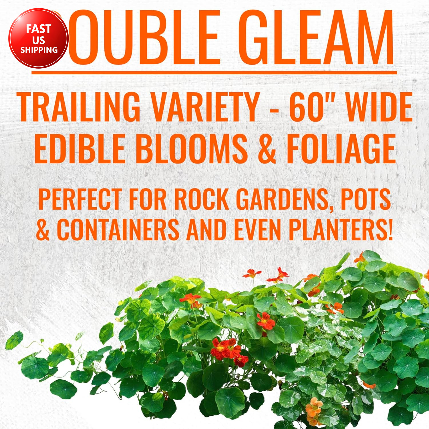 Nasturtium Seeds for Planting Edible Flowers – Collection Set of Jewel Blend & D
