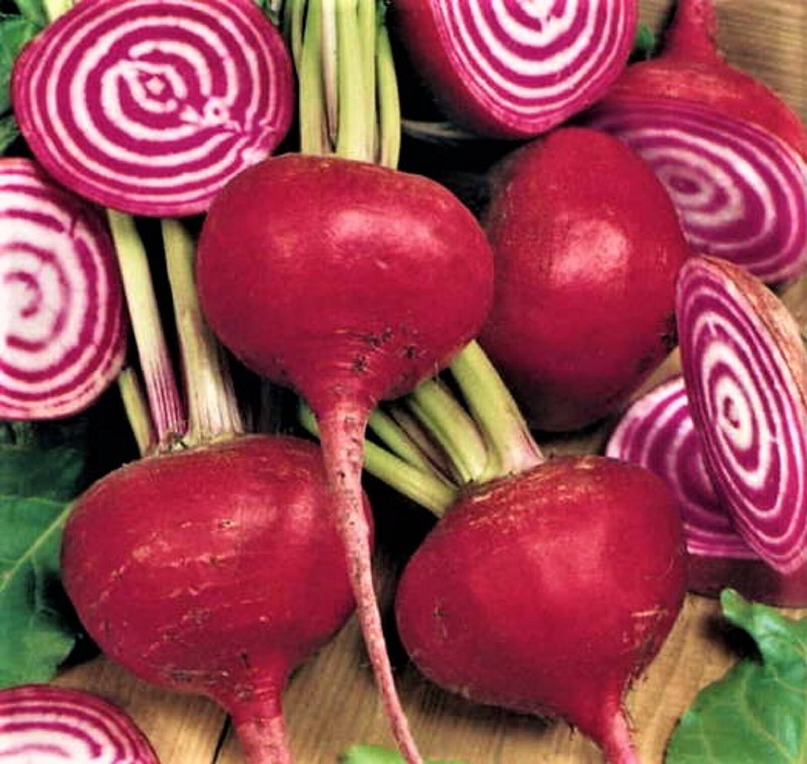 Crosby Egyptian Beet Seeds 100+ SEEDS NON-GMO –BUY 4 ITEMS FREE SHIPPING