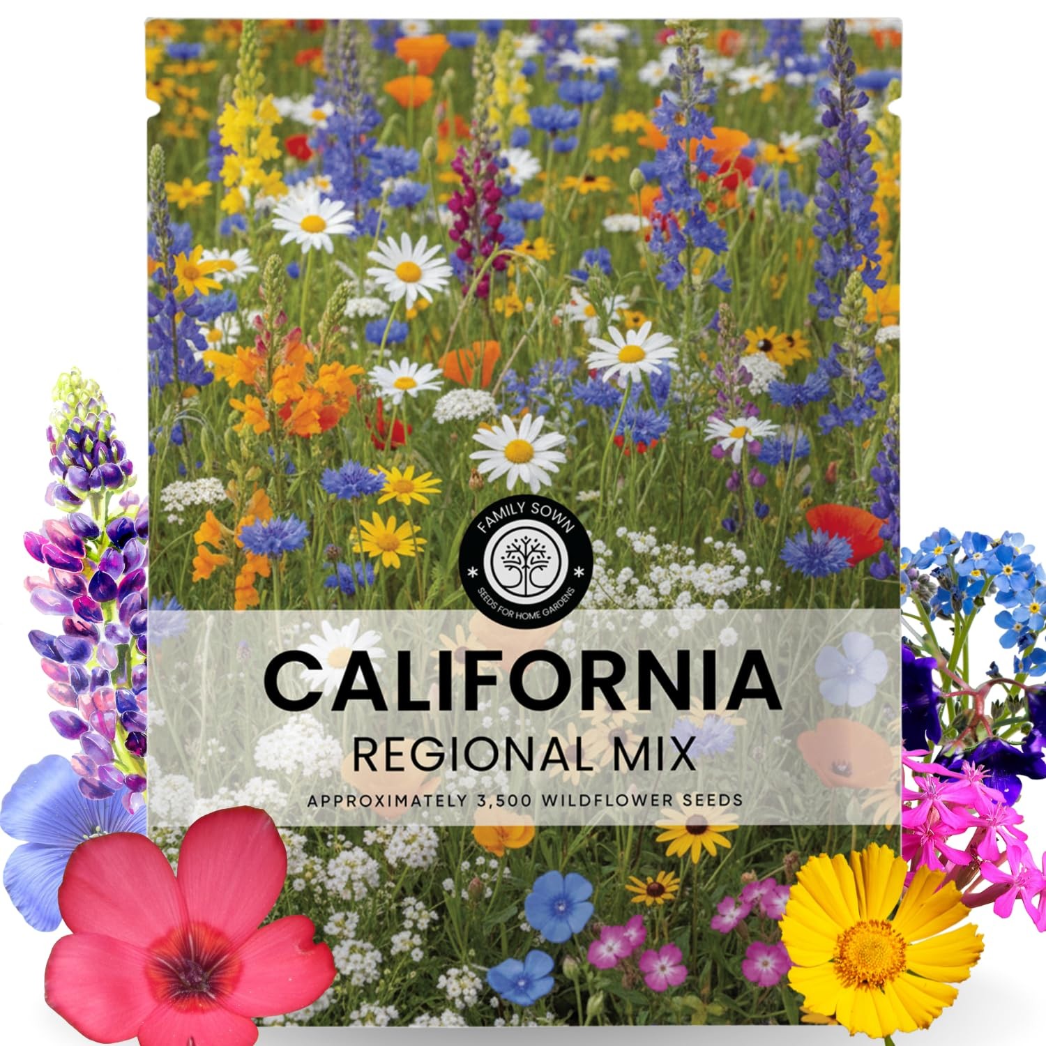 California Regional Mix – 3,500 Seeds for Planting – 2026 Season – 5 Gram Pouch