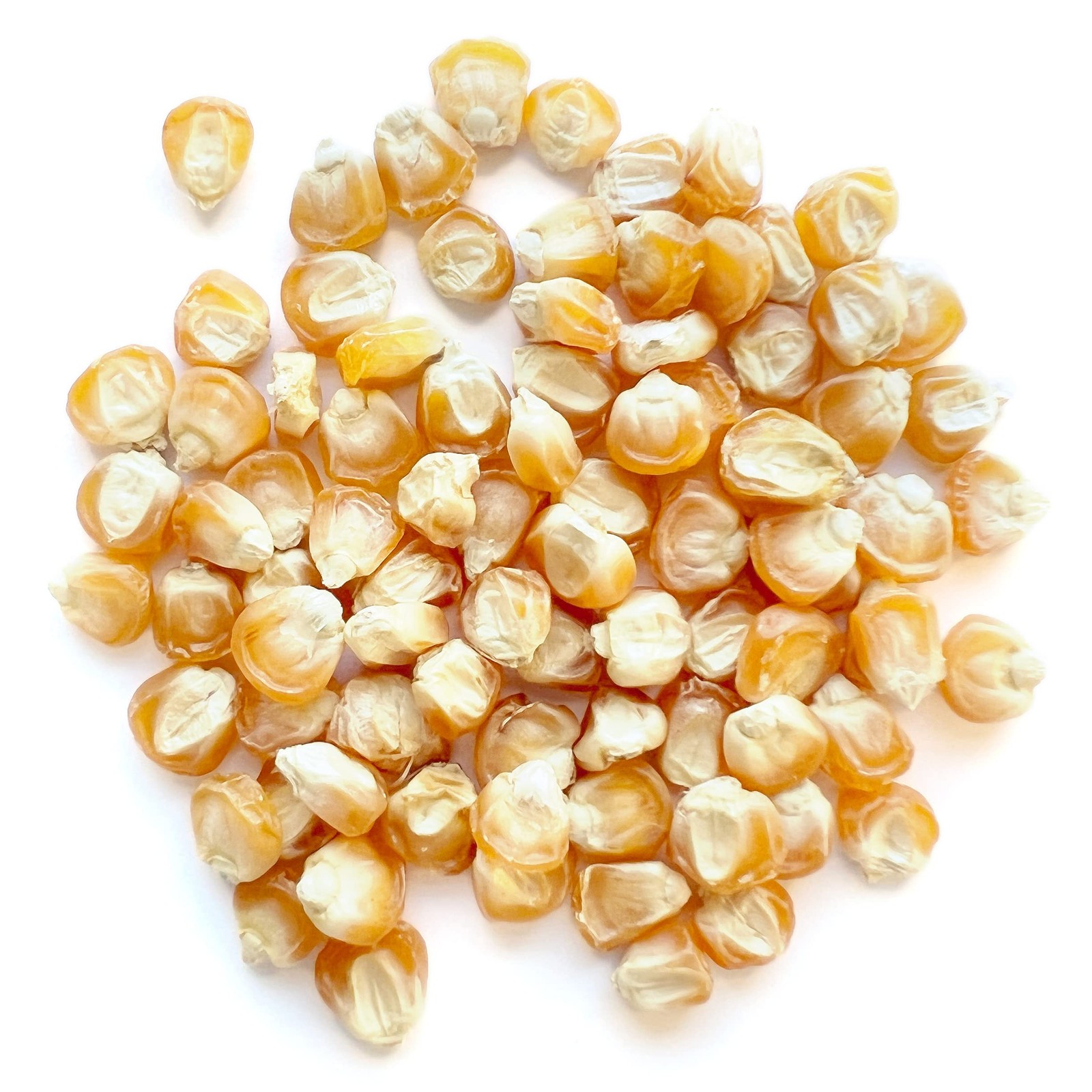 Almanac Heirloom Sweet Corn Seeds Brown,Golden,Green,Yellow