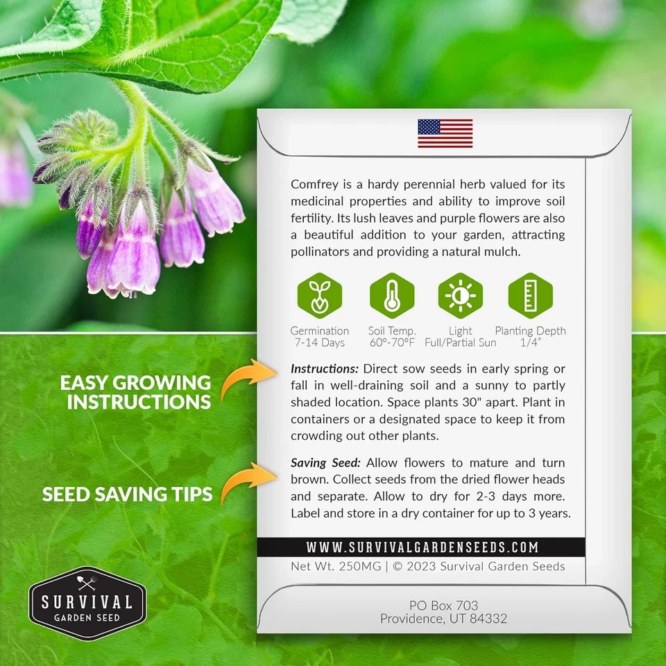 Comfrey Seeds for Planting – Symphytum Officinale Medicinal Perennial Herb for C
