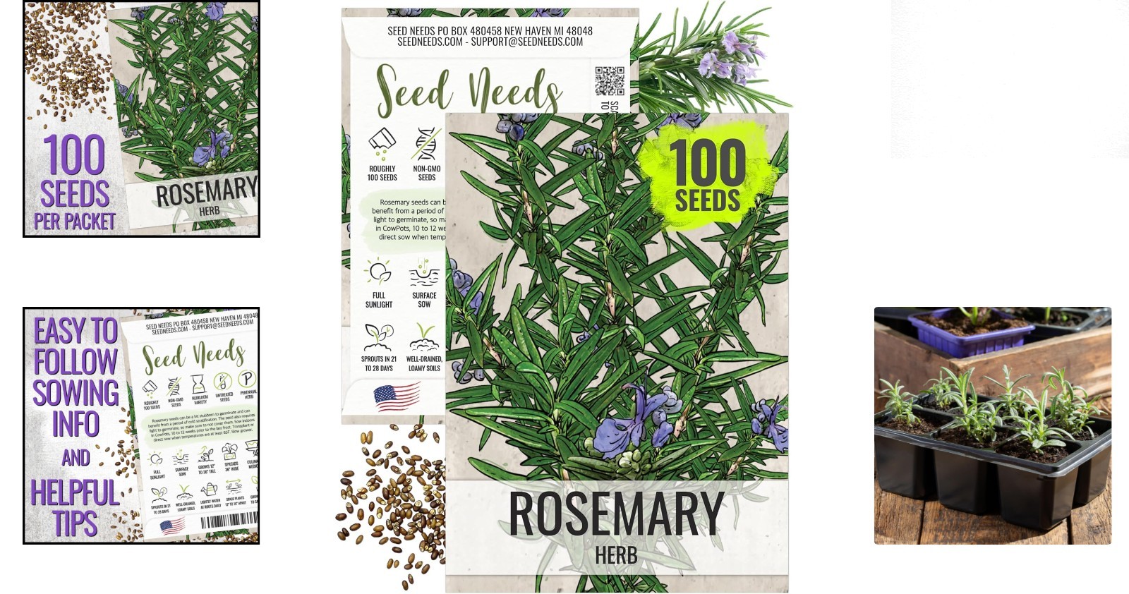 Non-GMO Heirloom Rosemary Seeds – Grow Culinary & Medicinal Herbs -Round