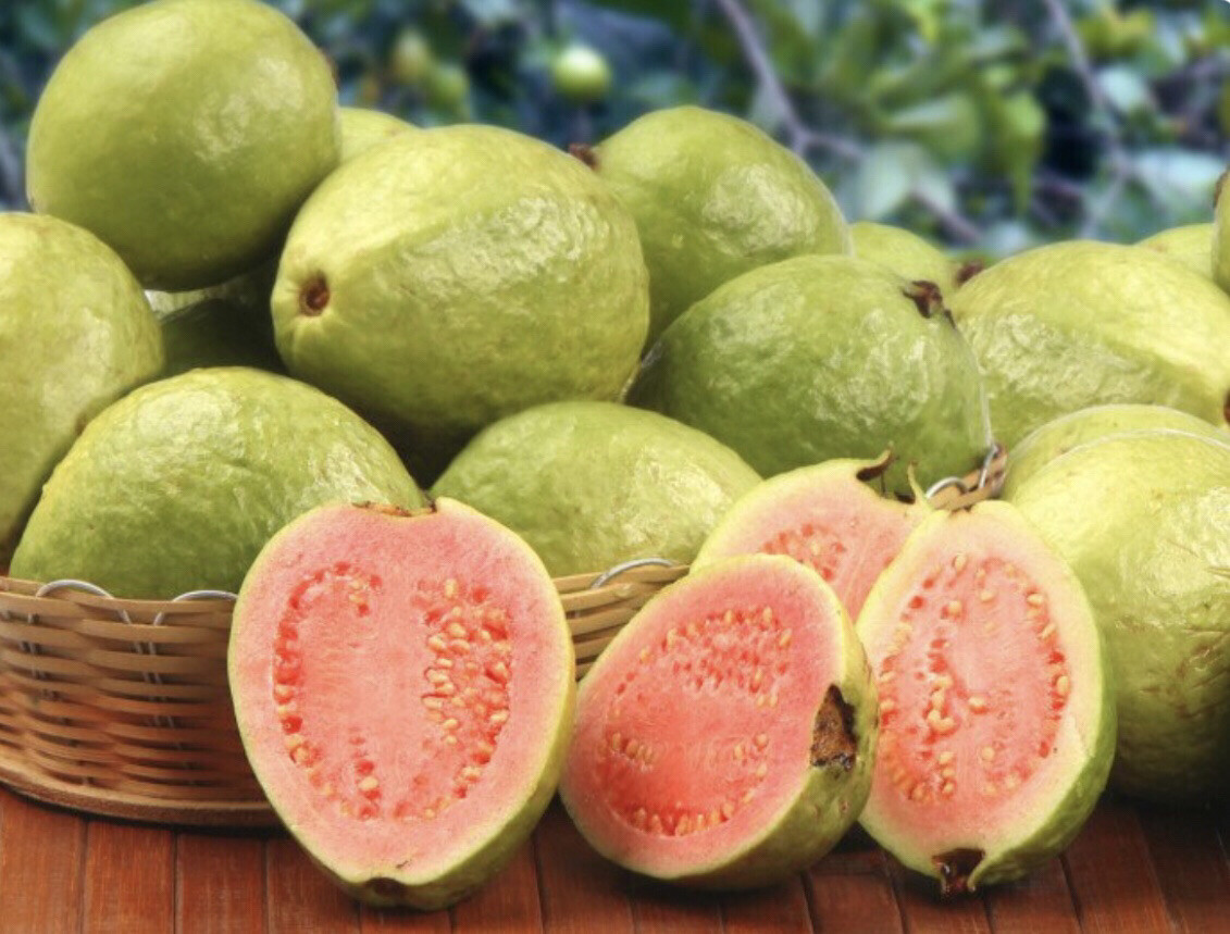 35 SEEDS Pink Guava | Psiduim Guajava | Bayabas SEEDS for Planting