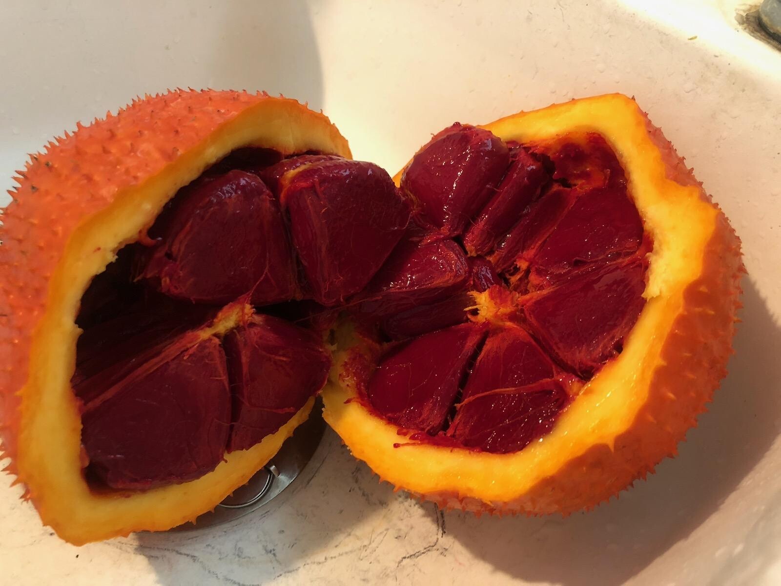 15 Gac Fruit Seeds || Melon Vine, Momordica Cochinchinensis || Hạt Trái Gấc