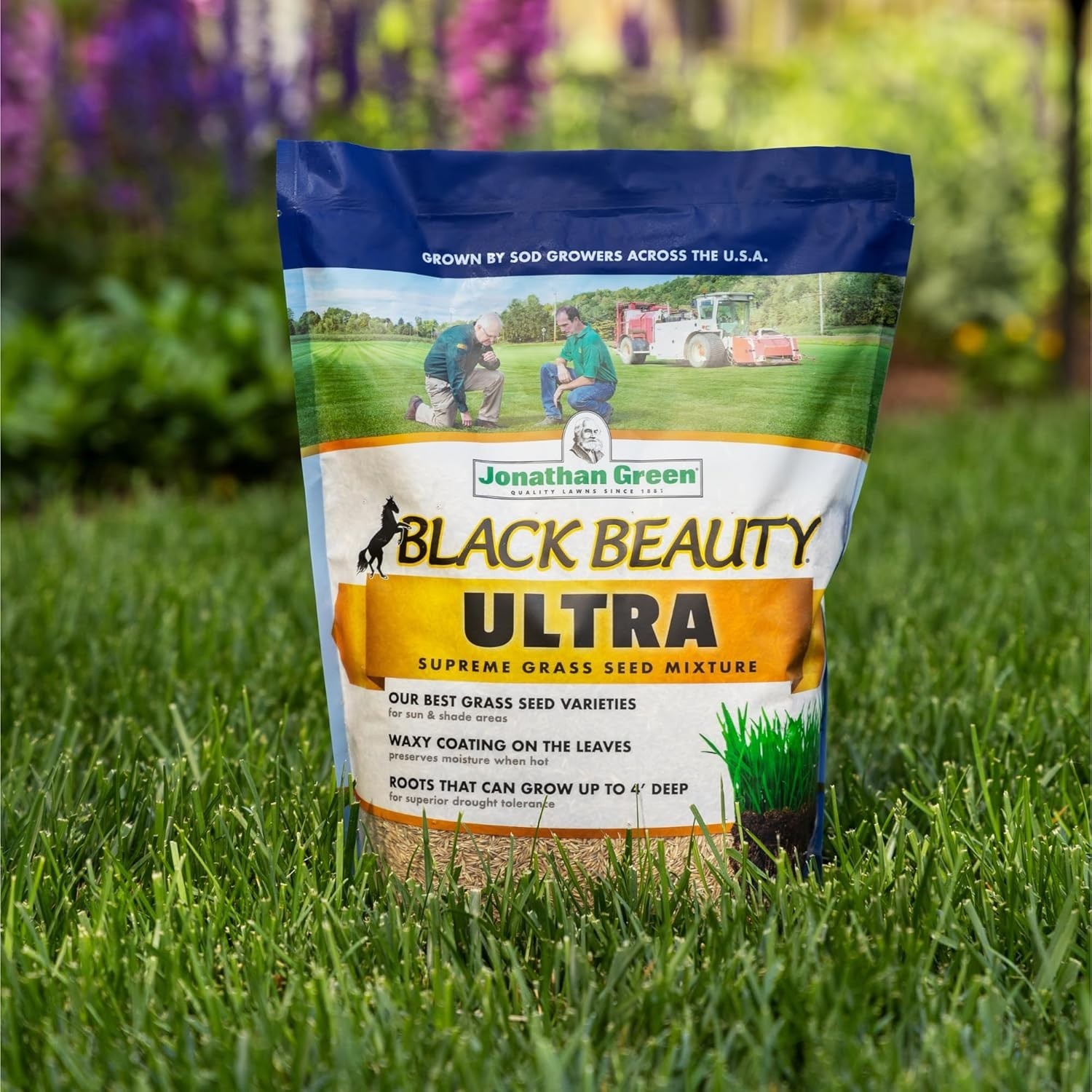 25 lb Black Beauty Grass Seed | Germinates in 7-14 Days, Dark Green Turf